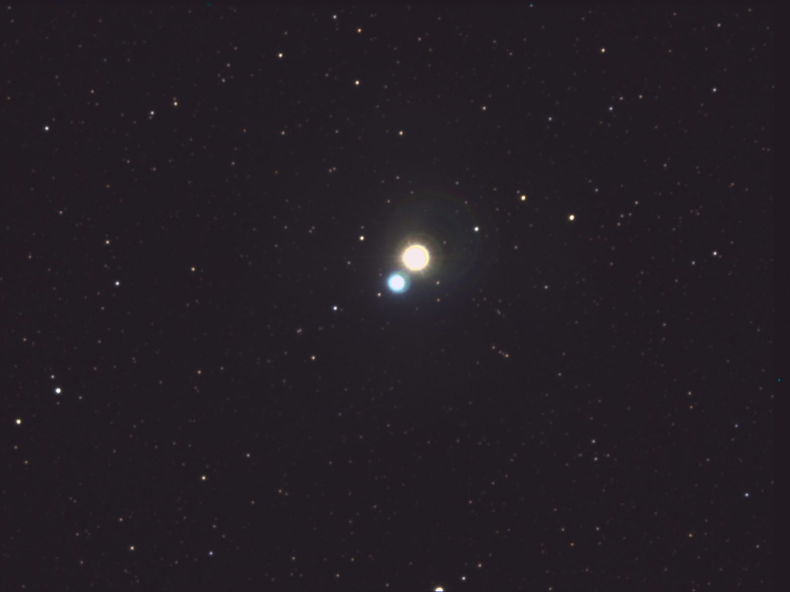 Albireo